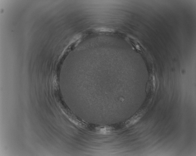 X0000056330564200508291255