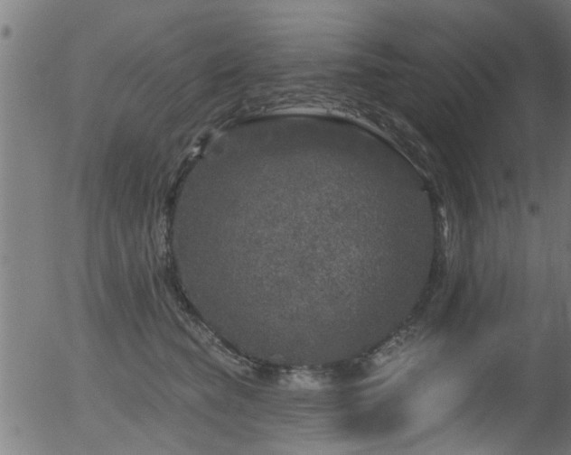 X0000056330565200508291255