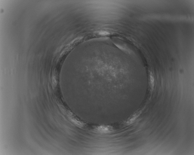 X0000056330566200508291255