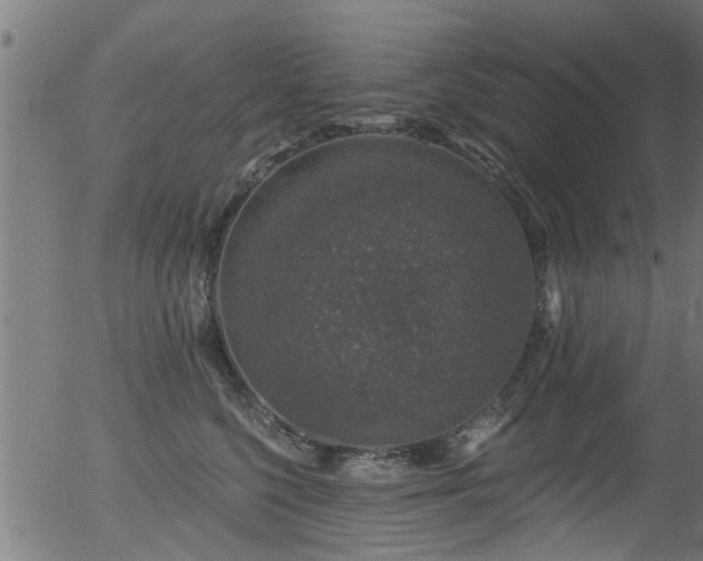 X0000056330568200508291255