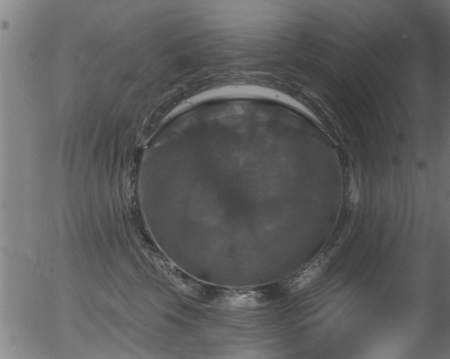 X0000056330569200508291255