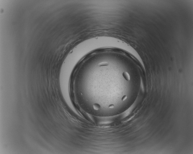 X0000056330570200508291255