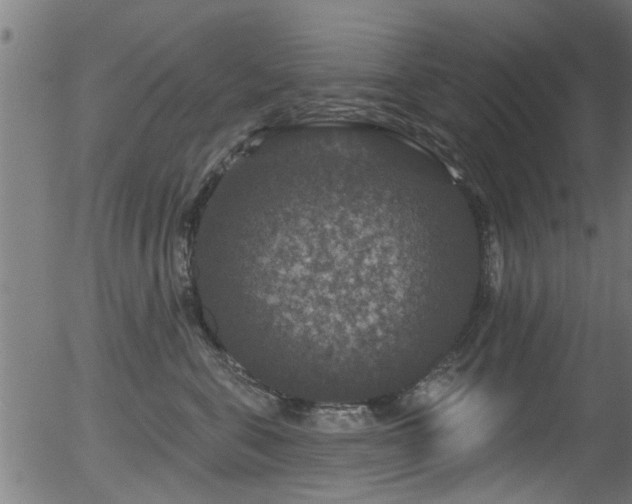 X0000056330571200508291255