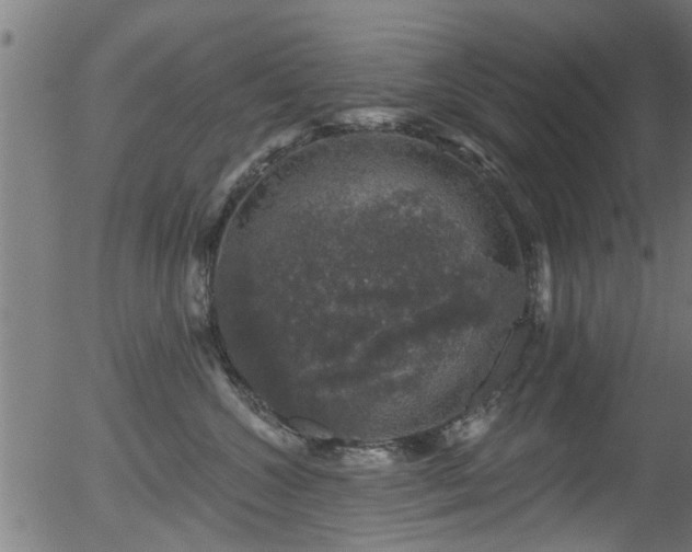 X0000056330572200508291255