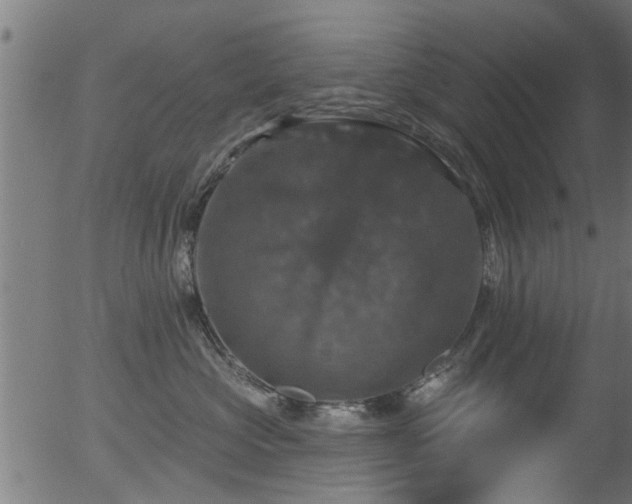 X0000056330573200508291255