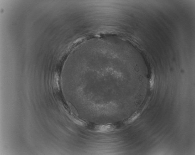 X0000056330575200508291255