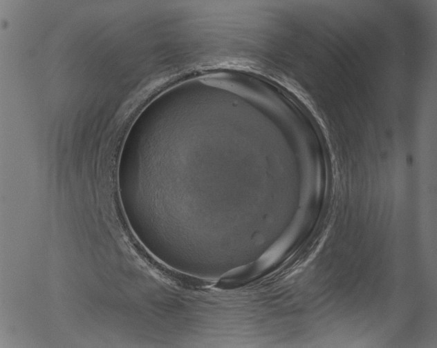 X0000056330577200508291254