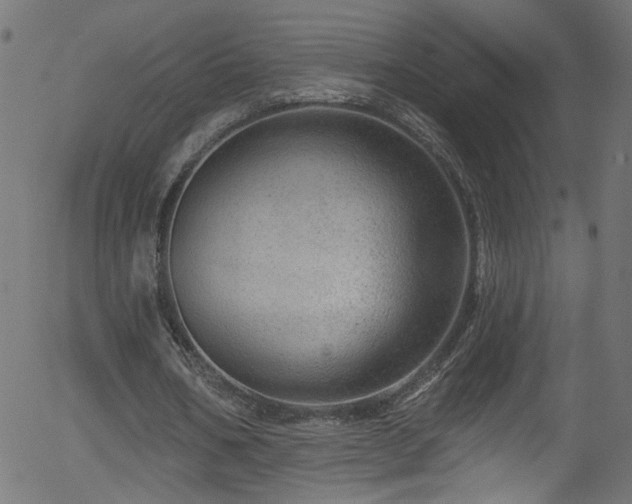 X0000056330578200508291254