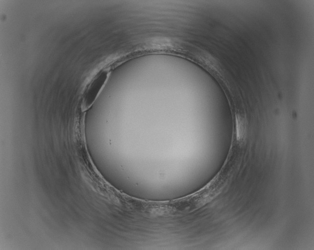 X0000056330579200508291254