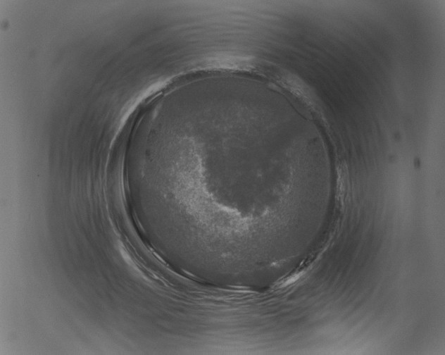 X0000056330580200508291254