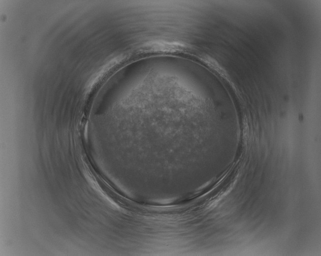 X0000056330581200508291254