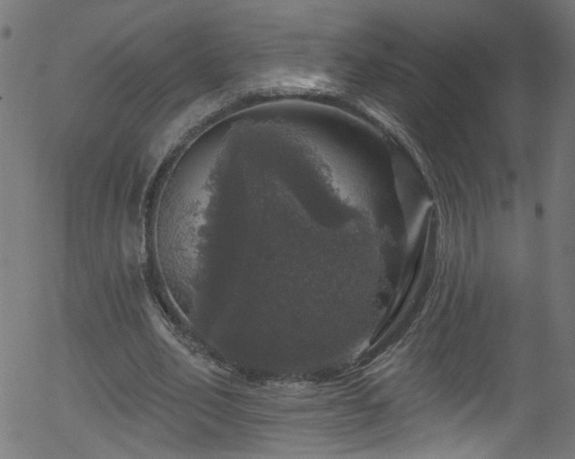 X0000056330582200508291254