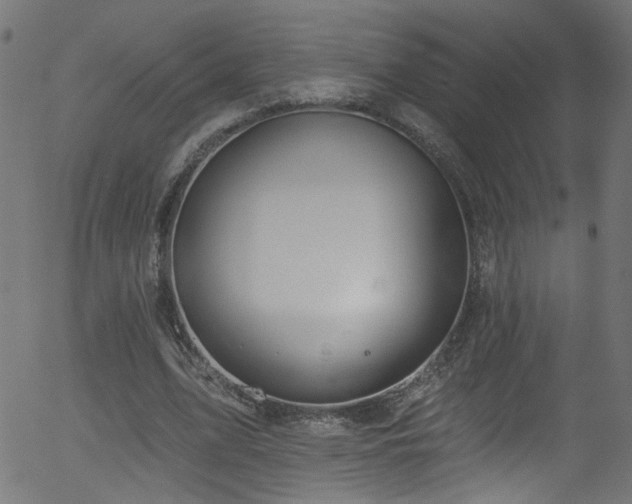 X0000056330583200508291254