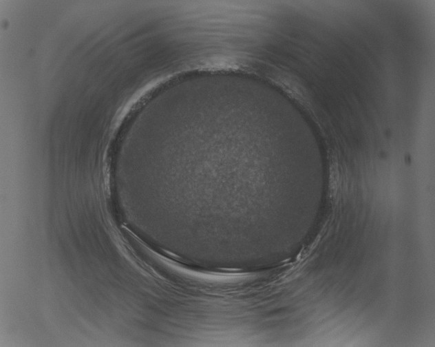 X0000056330584200508291254