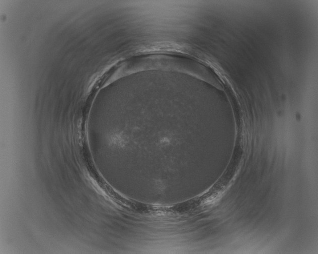 X0000056330585200508291254