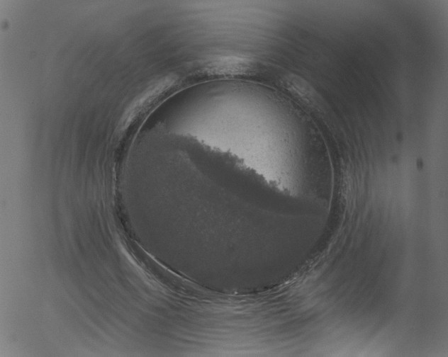 X0000056330586200508291254