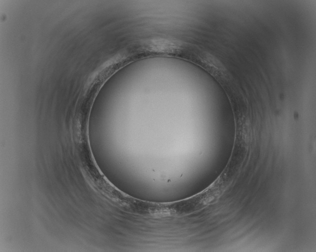 X0000056330587200508291254