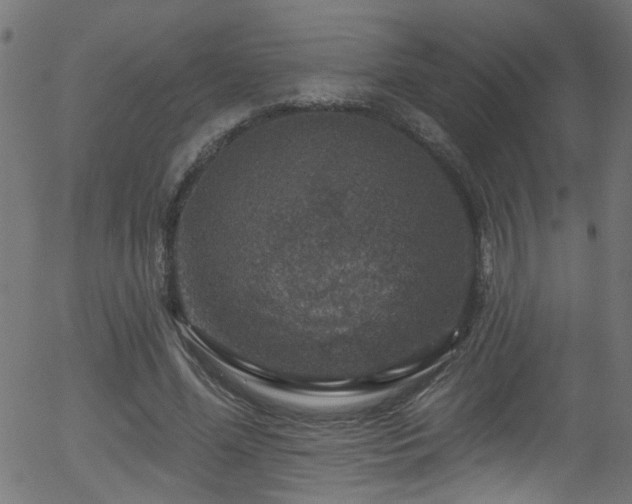 X0000056330588200508291254