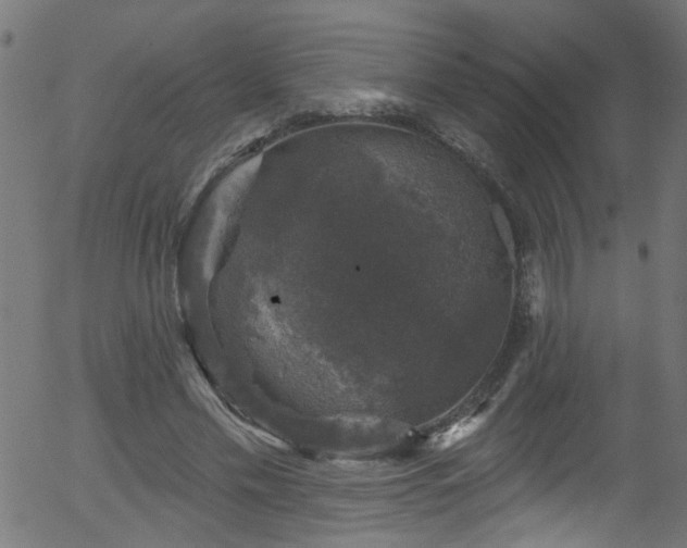 X0000056330589200508291254