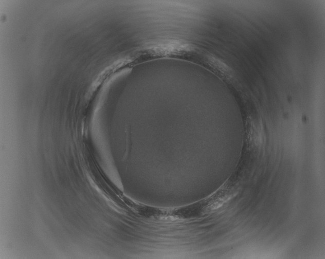 X0000056330590200508291254