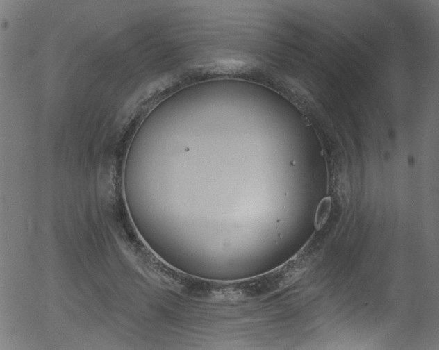 X0000056330591200508291254