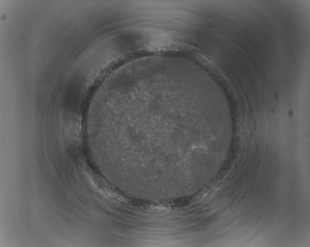 X0000056330592200508291254