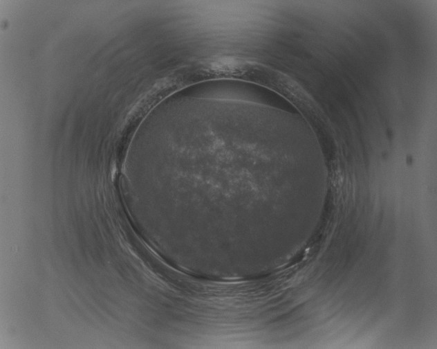 X0000056330593200508291254