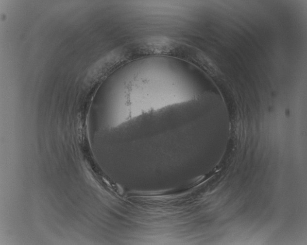 X0000056330594200508291254