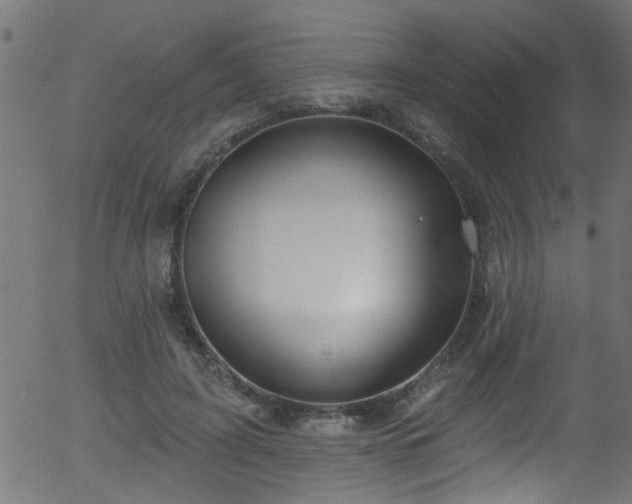 X0000056330595200508291254