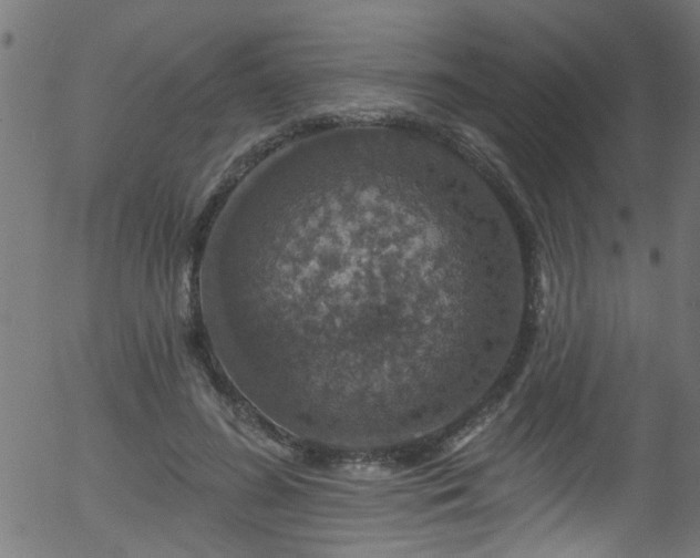 X0000056330596200508291254