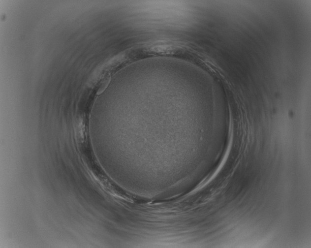 X0000056330597200508291254