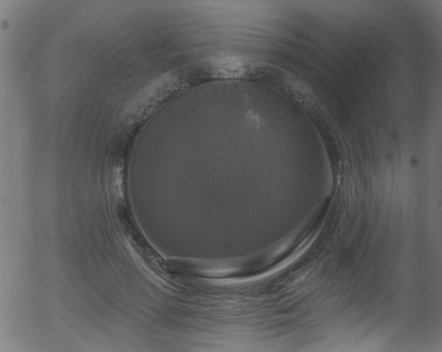 X0000056330598200508291254