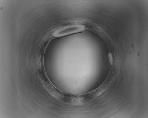 X0000056330599200508291254