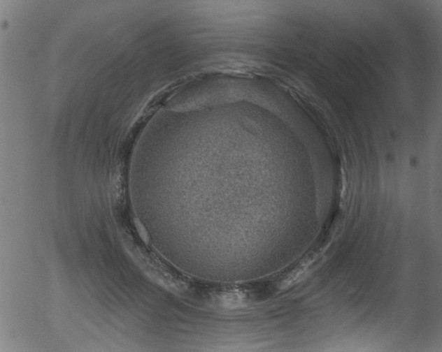 X0000056330600200508291254