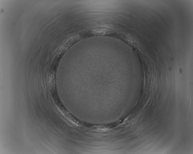 X0000056330601200508291254