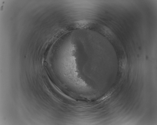 X0000056330602200508291254