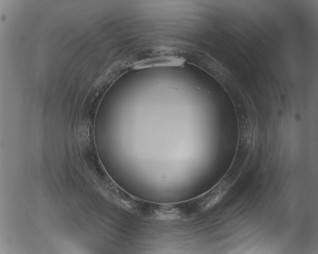 X0000056330603200508291254