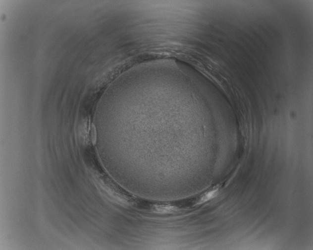 X0000056330605200508291254