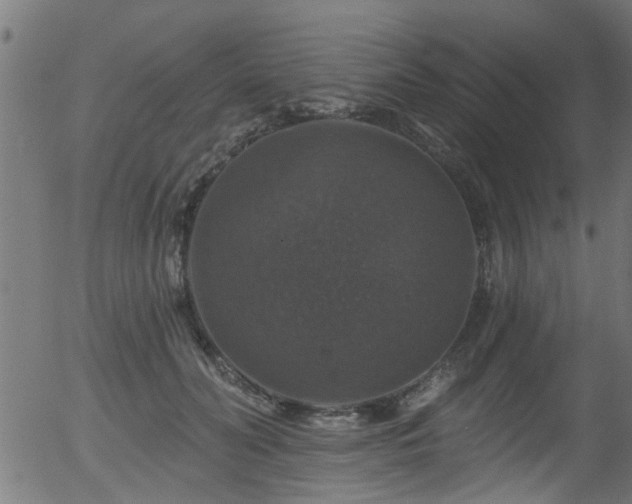 X0000056330606200508291254