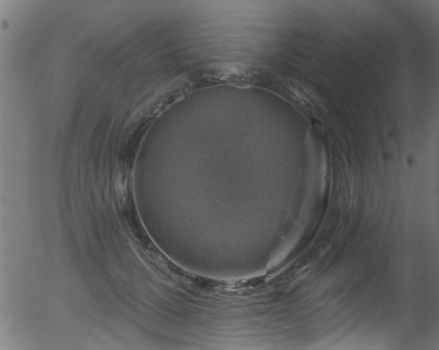 X0000056330607200508291254