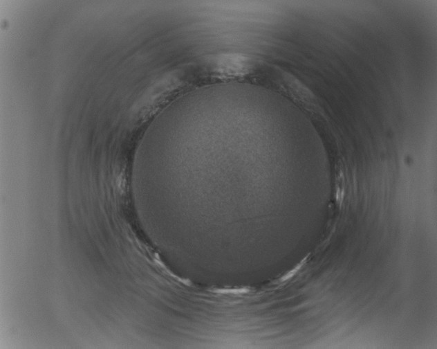 X0000056330608200508291254