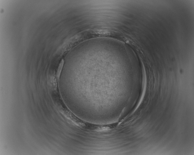 X0000056330609200508291254