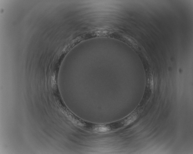 X0000056330610200508291254