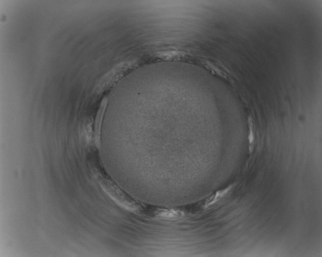 X0000056330611200508291254