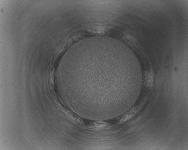 X0000056330612200508291254