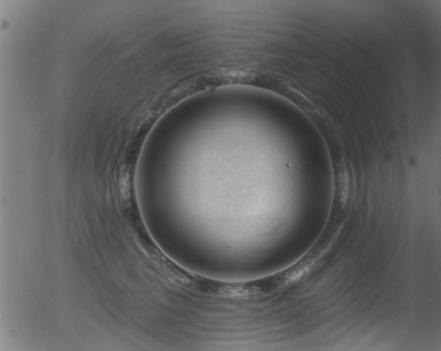 X0000056330613200508291254