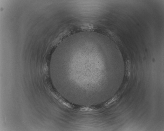 X0000056330614200508291254