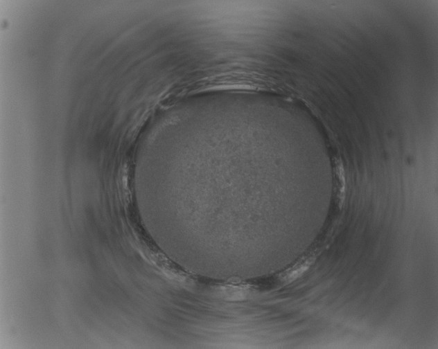 X0000056330615200508291254