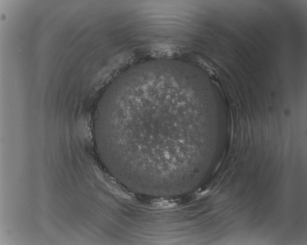 X0000056330616200508291254