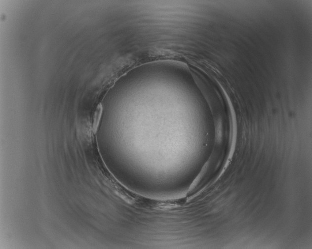 X0000056330617200508291254